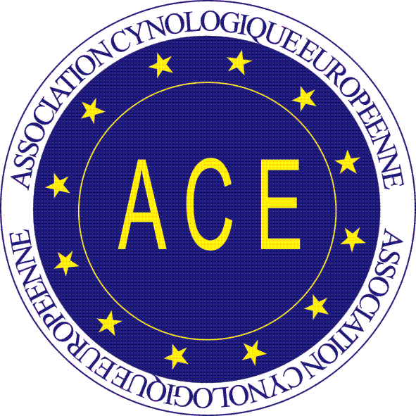 ace